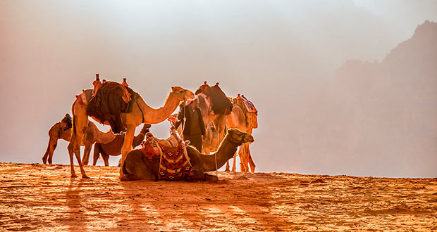 Туры к верблюдам! В ОАЭ или Тунис из Мск на неделю от 22600₽/23100₽ на человека (не горит)