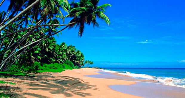 Гоа, море, пляж! Туры Мск-Индия 7-11 ночей от 19600₽ на человека в октябре