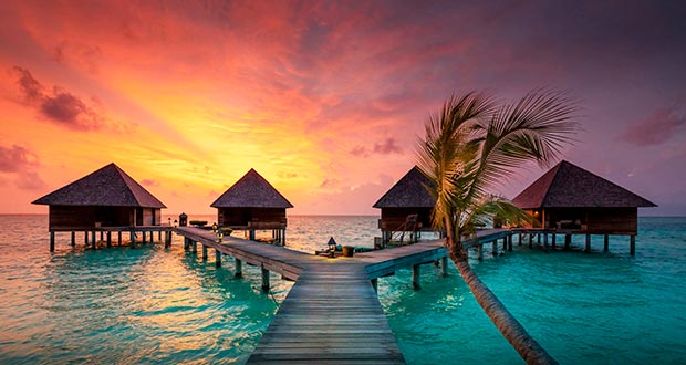 Пора на Мальдивы! Пляжные туры из Мск на неделю от 59400₽ на человека в ноябре-декабре