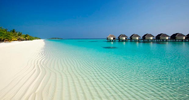 Море! Солнце! Пляж! Туры на неделю из Москвы на Мальдивы от 62400₽ на человека в ноябре-декабре